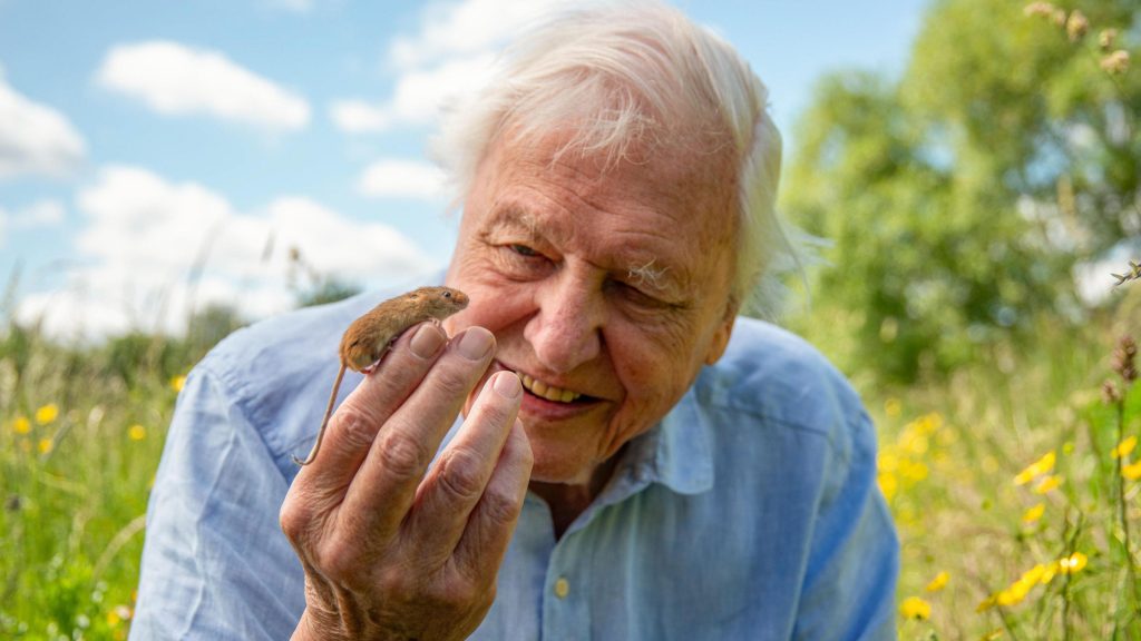 David Attenborough during the filming of one of his last documentaries “Wild London”, en 2025. Passion Planet Production. BBC